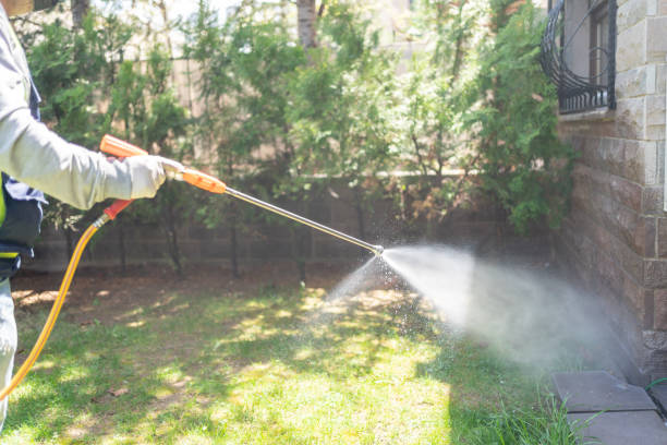 Best Mosquito Control Services  in Ruch, OR