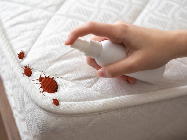 Best Cockroach Control Services  in Ruch, OR